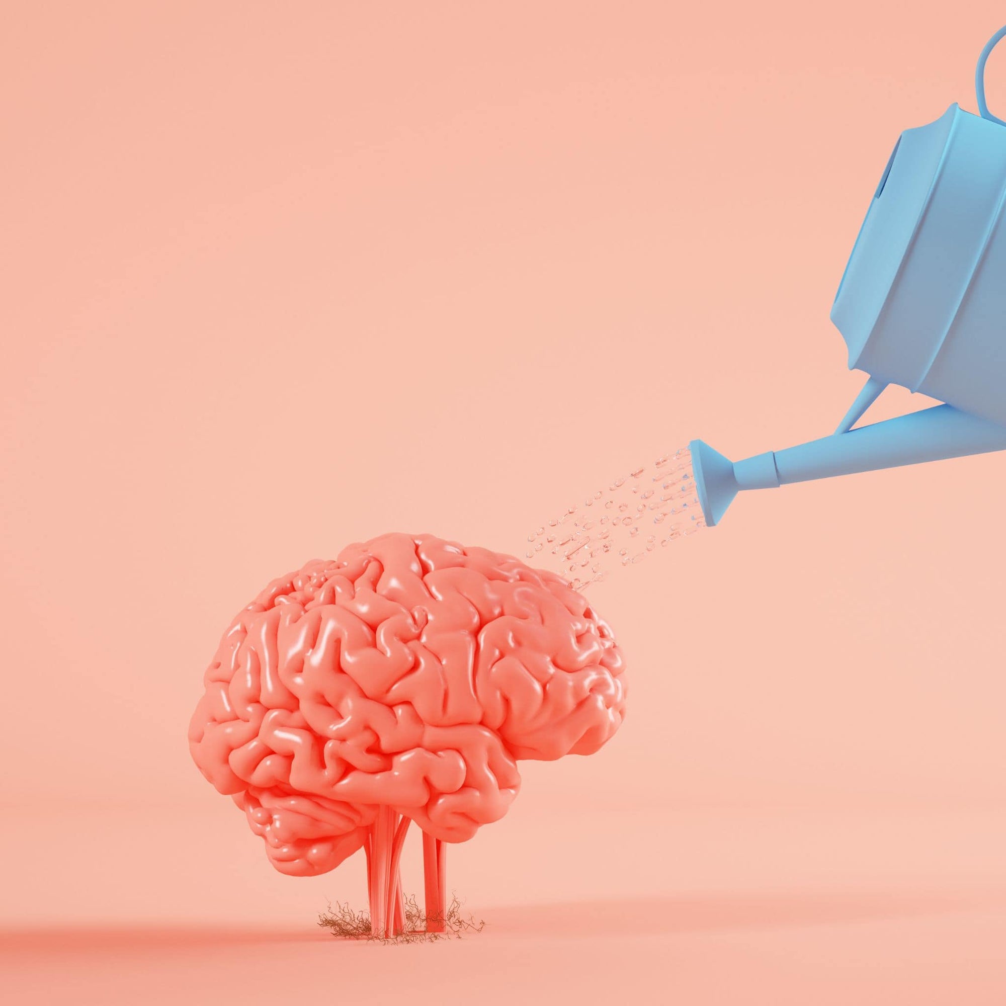 THE LINK BETWEEN HYDRATION AND BRAIN FUNCTION