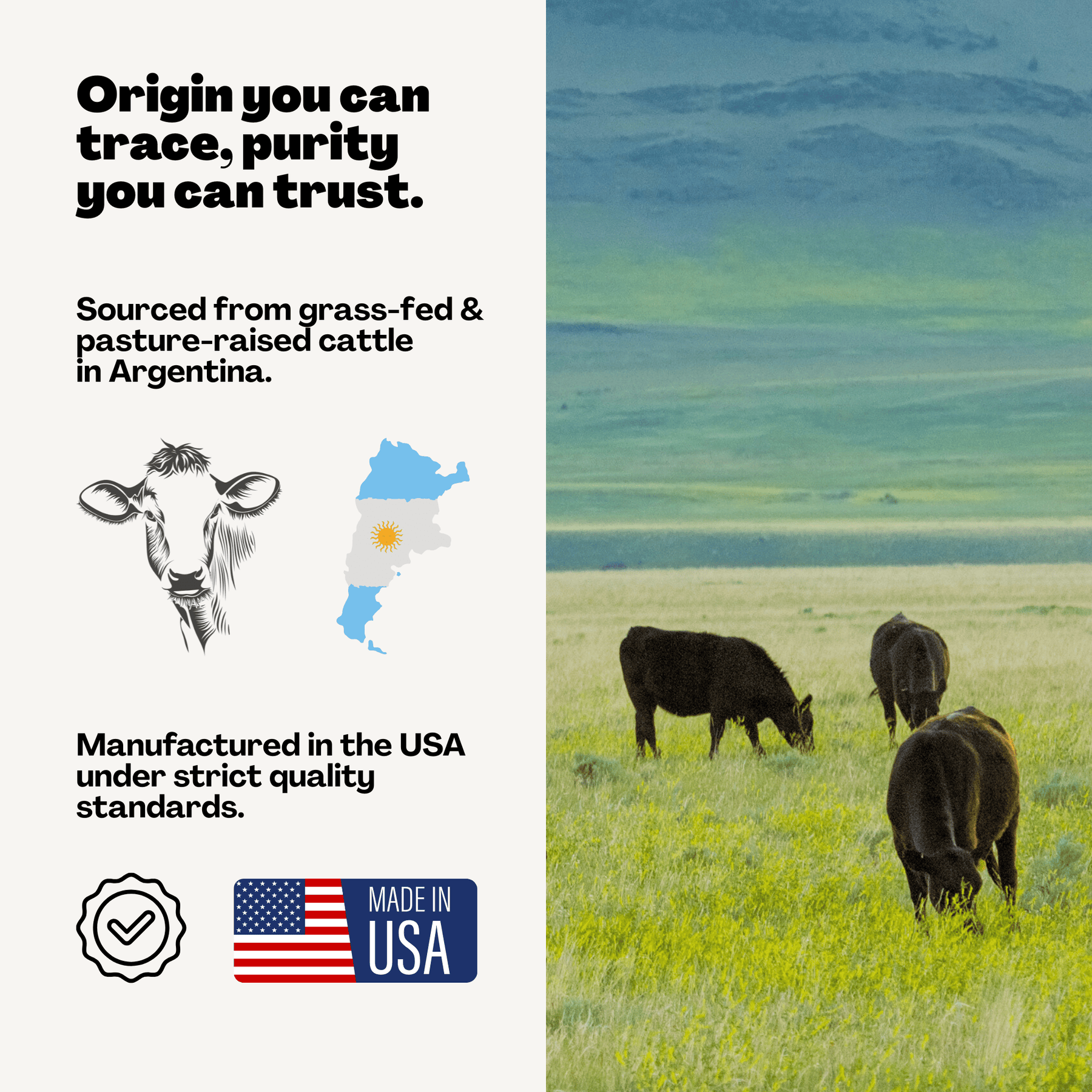 Uppermost Collagen Peptides Protein Powder, Grass-fed & Pasture-raised, Hydrolyzed, Skin, Hair, Nail & Joint Support